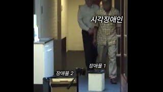 '본다'는 것의 정의를 뒤바꾼 충격적 실험