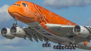 60 MINUTES PURE AVIATION - AIRBUS A380, Boeing 747 ... SPECIAL painted PLANES only ️