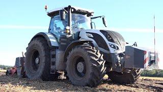 Valtra S394 working hard w/ AHWI RF800 Rotovator clearing old tree stumps away | Skovbygaard A/S