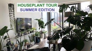 HOUSEPLANT TOUR | SUMMER 2018 | Crazy Plant Guy