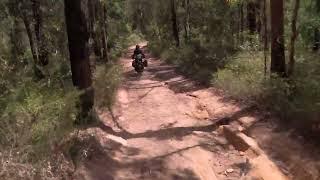 Pokolbin Forest Trail Riding