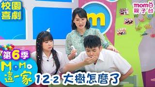 M O M O 這一家 S6：12 - 2【大樹怎麼了】第六季 12集 單元2｜家庭校園喜劇｜趣味生活短劇｜兒童電視節目｜孩子教養｜同學關係【親子台｜官方HD｜網路短版】momokids