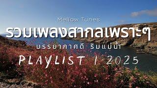 รวมเพลงสากลเพราะๆ บรรยากาศดี ริมแม่น้ำ - By Mellow Tunes