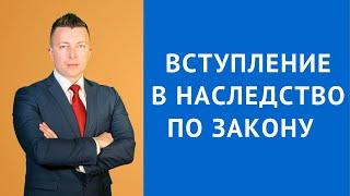 Вступление в наследство по закону - адвокат по наследству