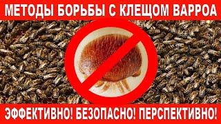 Методы борьбы с клещом Варроа. Эффективно! Безопасно! Перспективно! | Varroa tick control methods.