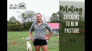 Rotating Chickens onto New Pasture- FINALLY!