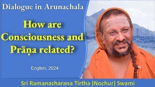 How are Consciousness and Prāṇa related? | Dialogue in Arunachala | English | 2024