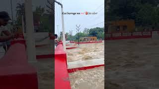 Koshi baraz khatre ke ufan se upar bah Rahi hai