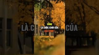 Sống là cuộc chơi của lựa chọn !
