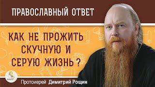 Как не прожить серую и скучную жизнь ?  Протоиерей Димитрий Рощин