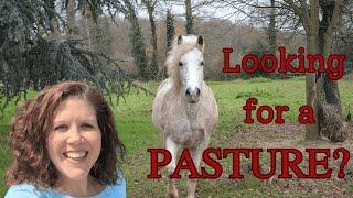 How to Choose the Best Equestrian Property for Your Horses