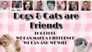 STOP EATING CATS AND DOGS |  An Awareness Campaign | HSU English Boosters