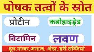 पोषक तत्वों के स्रोत। सभी पोषक तत्वों को याद करें  ट्रिक से। प्रोटीन, वसा, कर्बोहाईडेड, लवण