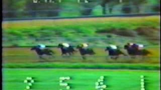 Alydar - 1978 Blue Grass Stakes (Full Race)