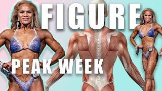 Watch Me Peak This Figure Competitor's Final Contest Prep Week