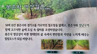 도심 속 천년고찰 봉은사 명상길 걷기
