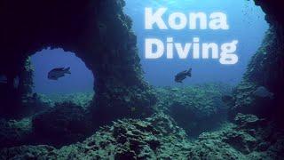 Kona Diving - Lax Dive Site | Kona Honu Divers