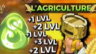 XP sur DOFUS UNITY avec L'AGRICULTURE