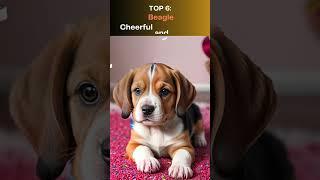 Top 10 Gentlest Dog Breeds  #top10 #cuteanimal #animals  #beautifulpets