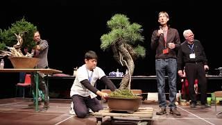 Bonsai demo by Daisaku Nomoto