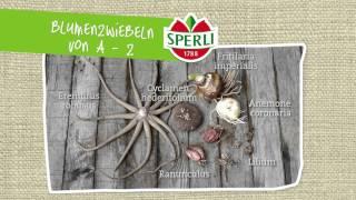 SPERLI Blumenzwiebeln von A bis Z