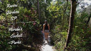 Florida’s Best Parks & Hikes (Ravine Gardens State Park / Palatka, FL) #hikeflorida #visitflorida