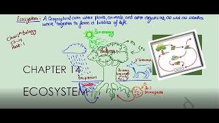 Ecosystem||Part 1||Ncert class 12th Biology||Ncert line by line