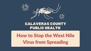 Calaveras County Public Health:  How to Stop the West Nile Virus from Spreading