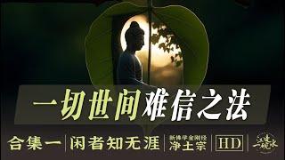 【3小时横穿佛教学术禁地】一口气看懂最被忽略的净土宗发展史，从政教博弈到万宗归净的汉传智慧【净土合集一】#佛教 #哲学 #历史