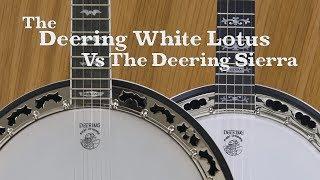 Banjo Demo: Deering White Lotus Vs Deering Sierra