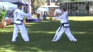 Hamilton NZ Taekwon-do demo