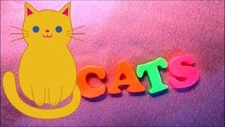 Cute Cats and Kittens for Little Ones: FreeSchool Early BIrds