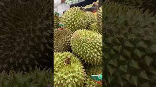 Sầu Riêng tươi Việt Nam tại Canada - Giá $21.78/kg - Giá cả thực phẩm tại Chợ Châu Á Montreal Canada