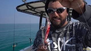 Quarantine "Stay At Home"  Kingfish & Slow Jigging