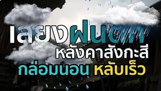 เสียงฝนตกหลังคาสังกะสี กล่อมนอน หลับเร็วหลับสบายหลับลึก คลายเครียด เสียงคุณภาพชัด100%