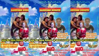 FULL TAMANSARI SAMUDRO BUDOYO LIVE DEMIT JATIROGO | RECORD BY DIFA PRO AUDIO