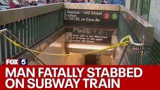 Man fatally stabbed on NYC subway train in the Bronx