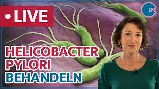 Freund oder Feind? Helicobacter Pylori | medical INSIGHTS