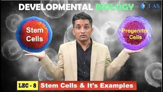CSIR NET JUNE 2025 I Developmental Biology I Lecture 8 I Stem Cells & stem cells Examples I IFAS