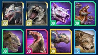 THE ALL MARSUPIAL LION TEAM vs NUBLAR SHORES  (JURASSIC WORLD ALIVE)