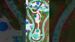 Discover the Best Water Parks in South Florida | Splash into Adventure!