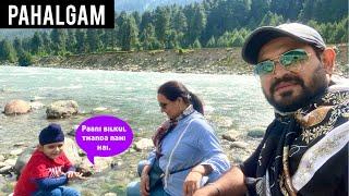 Exploring PAHALGAM | LIDDER River ke kinare Family Fun  Full Masti | Kashmir Trip Ep 11