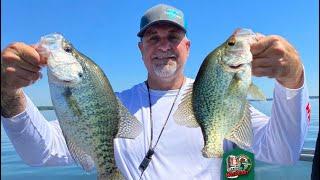 Old Hickory Shootout Crappie Tournament – TN WildCast 355