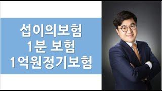 1분보험 - 1억원정기보험