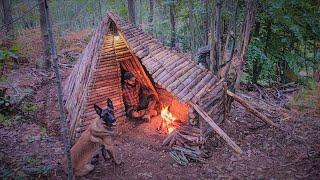 Forest Shelter Camping: Feuerstellendach bauen, Überlebensfähigkeiten, Lagerfeuerkochen, Wildcampen