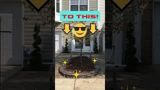 From This...To This! Curb Appeal Transformation! #landscaping #spring2025 #time2upgrade