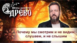 Почему мы смотрим и не видим, слушаем, и не слышим