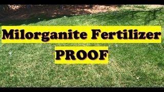 Grass Fertilizer Test PROOF!  |  Milorganite Fertilizer Results Before and After (LAWN CARE)