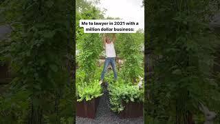 Proving Everyone Wrong With My Garden Business #gardenary #gardenconsultant #kitchengarden