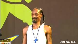 Snoop Dogg: Nád a házam 2 (Alma Együttes) #mashup